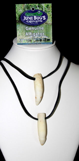 Alligator Tooth Necklace: No Beads